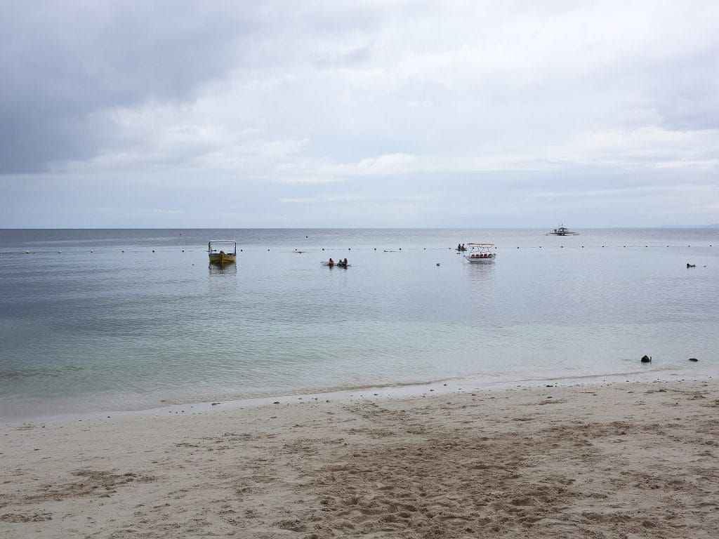Cebu hay Bohol: chọn đảo nào cho chuyến biển đầu tiên?