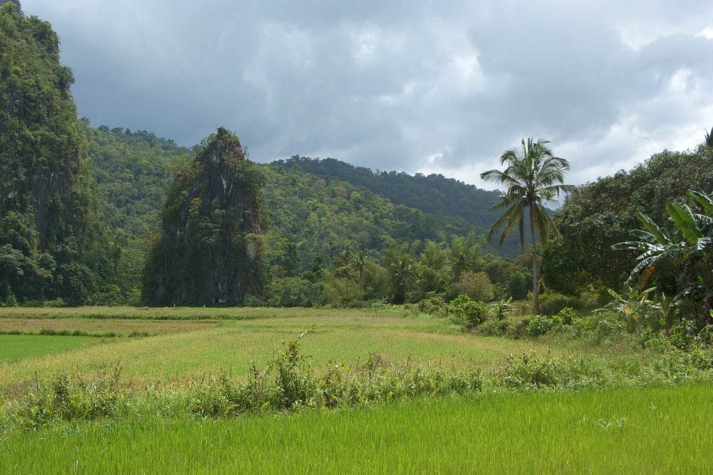 Puerto Princesa: chèo thuyền trong sông ngầm kỳ quan thế giới
