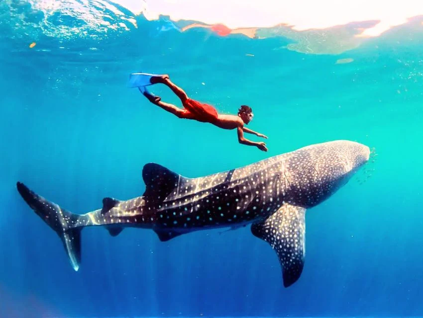 Đảo Coron 5 Ngày 4 Đêm